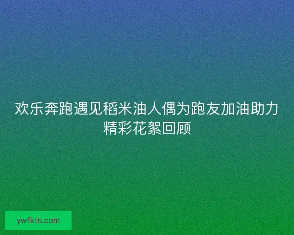 欢乐奔跑遇见稻米油人偶为跑友加油助力精彩花絮回顾
